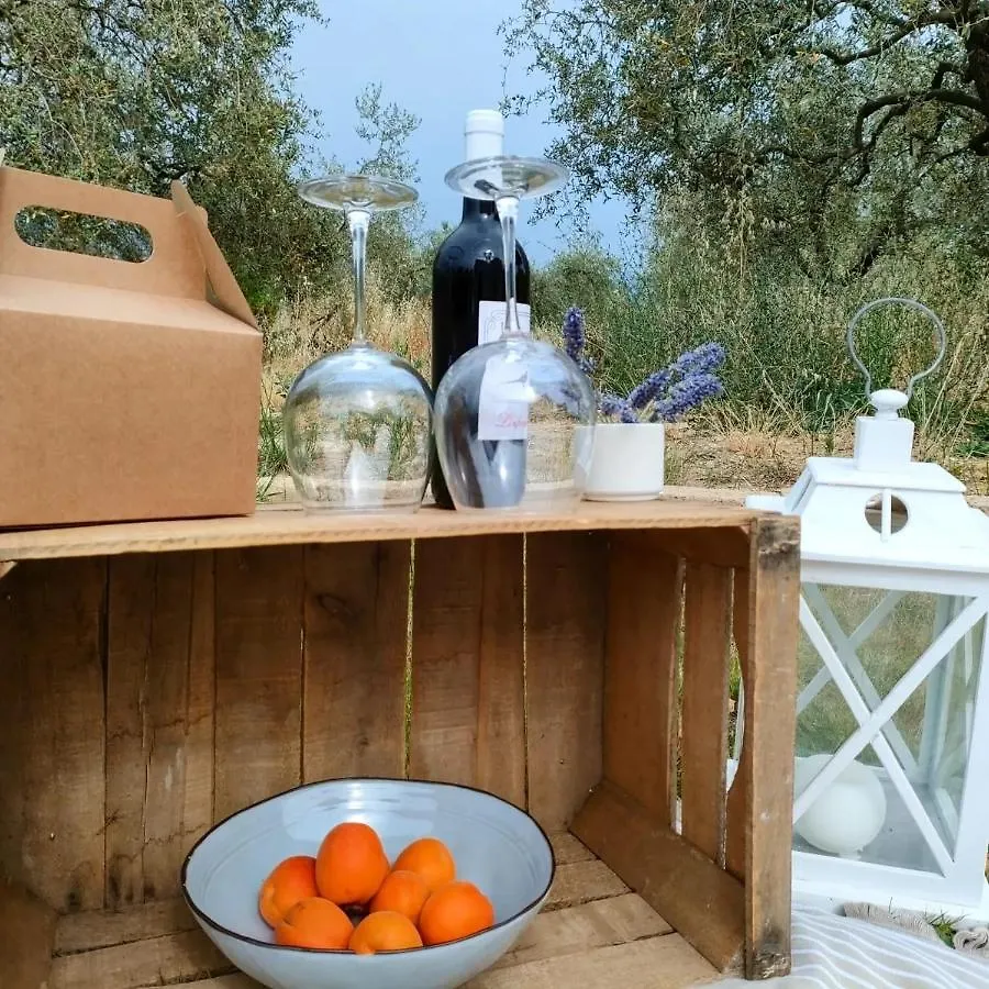 La Casa Vecchia Bed&Breakfast Caniparola di Fosdinovo Bed & Breakfast